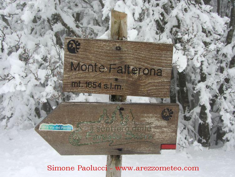 Monte Falco e Falterona 22