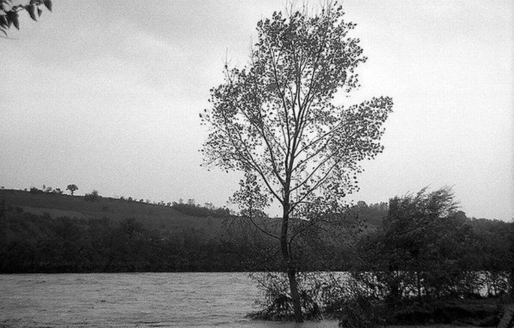 montevarchi-alluvione-novembre-1966-4